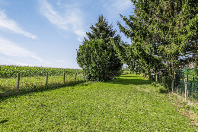 Cette charmante maison est située dans un environnement calme et rural à Machelen et offre beaucoup d'intimité et d'espace.
La maison comprend quatre étages et est agencée comme suit :

Sous-sol : Vous y trouverez le hall d'entrée avec escalier mena