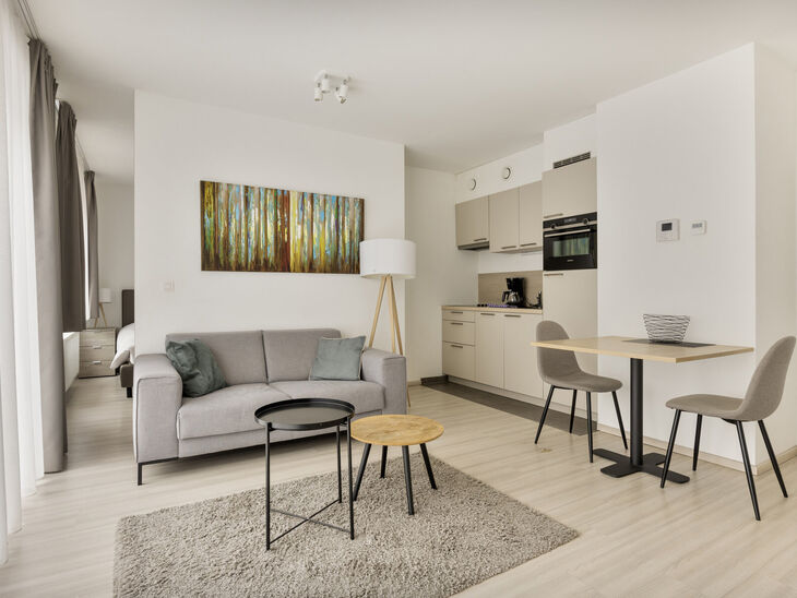Dit recent gebouwde appartement met één slaapkamer geniet een uitstekende locatie, recht tegenover de trendy Kanaalwijk en in de buurt van Tour & Taxis en het Rogierplein.

Gelegen op de vierde verdieping, biedt het appartement een zuidoostelijk georië